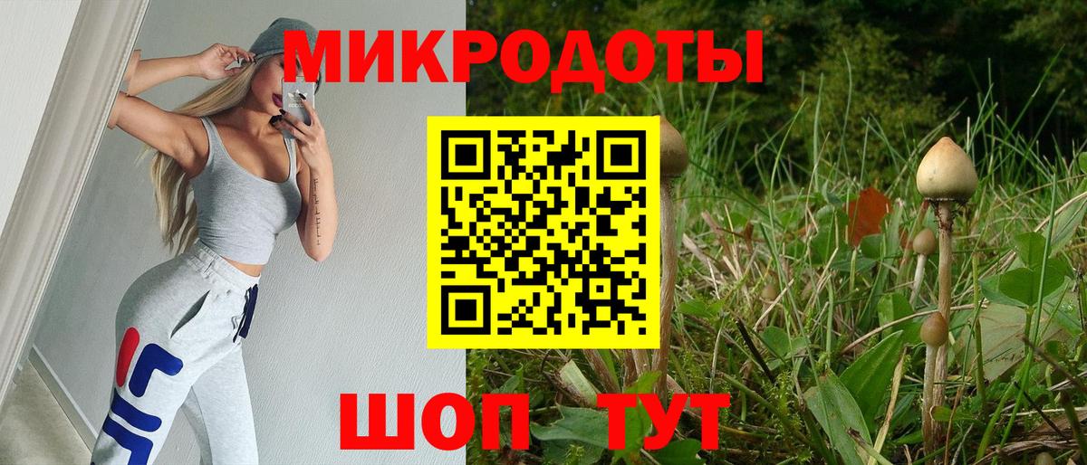 Галлюциногенные грибы GOLDEN TEACHER  Вход с VPN  Тула 