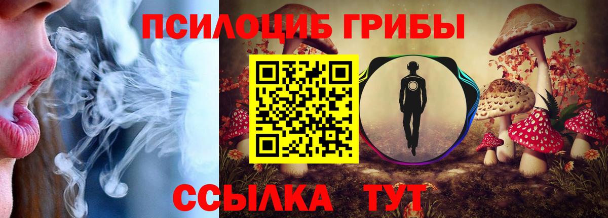 Галлюциногенные грибы прущие грибы Тула
